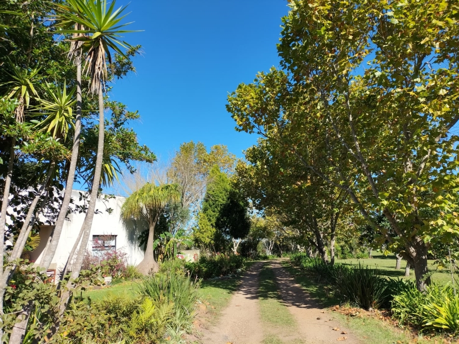 12 Bedroom Property for Sale in Friemersheim Western Cape